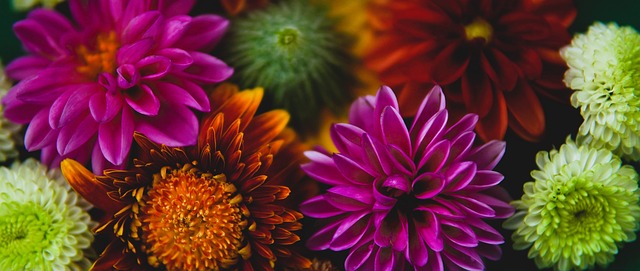 一席之地 一席之地