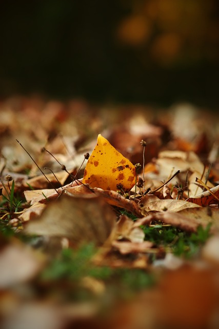 代足球的发 代足球的发