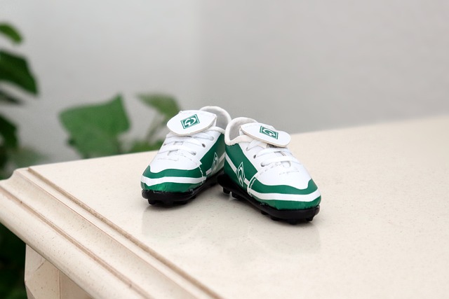 防守与进攻 防守与进攻