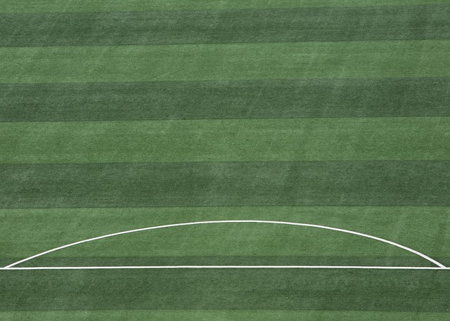 同联赛和球 同联赛和球