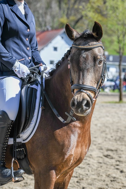 用轻松心态 用轻松心态