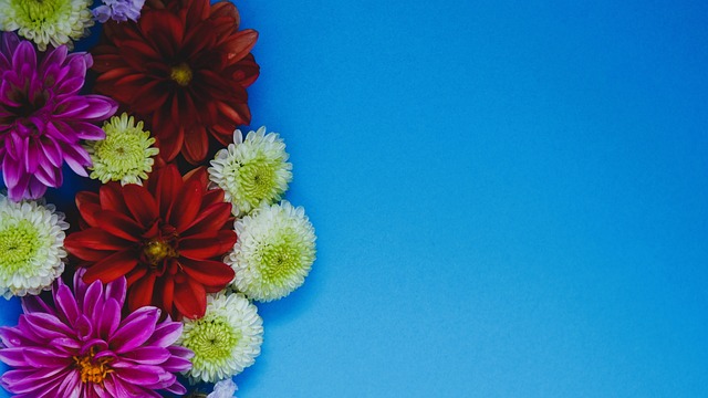 鲜明对比 鲜明对比