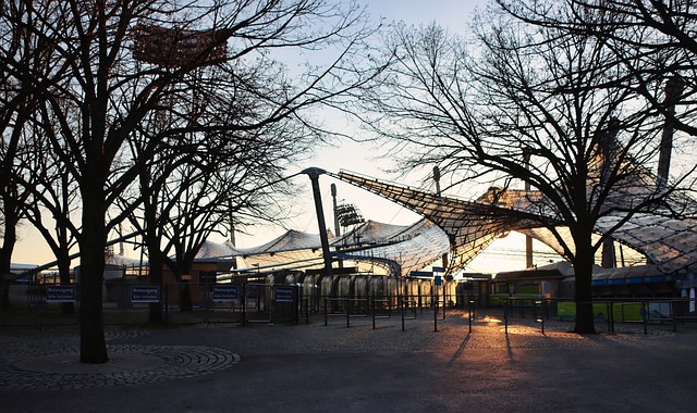 为德甲急需 为德甲急需